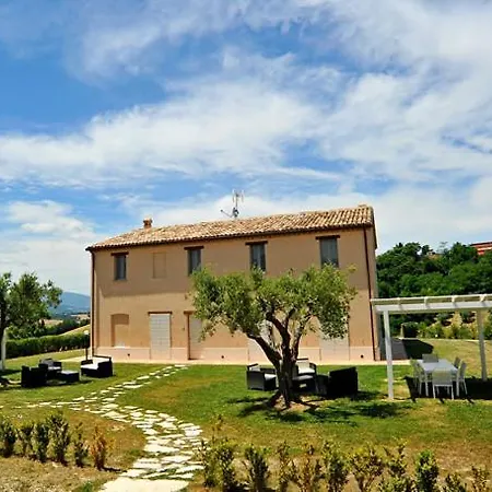 Il Colore Del Grano *