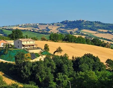 Il Colore Del Grano *